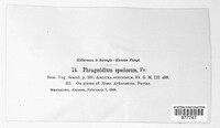 Image Associated With the Occurence